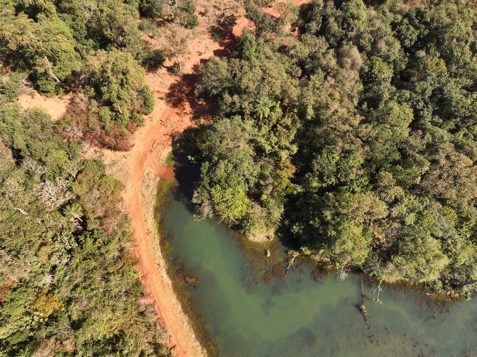 Barragem de terra na Fazenda São Ramão, vista aérea de drone, obra do Grupo LG — foto 2